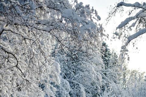 Tallinn: langlaufles met ophaalservice