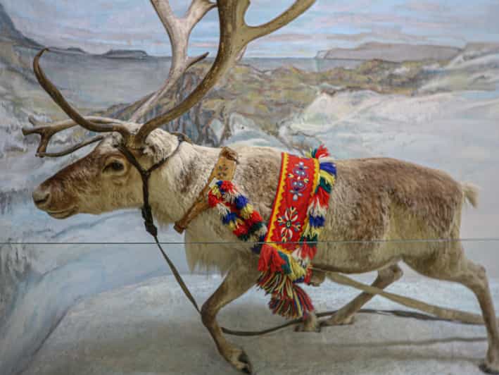 Discover Sami Culture: Tromsø Museum Expedition