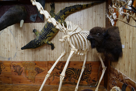 Museum of Zoology Sao Paulo Private Guided Tour & Transport 2-hour: Museum of Zoology Tour
