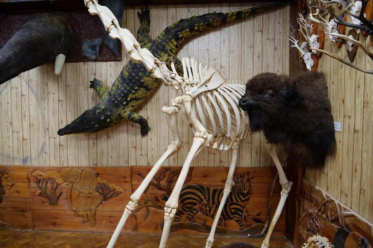 Museum of Zoology Sao Paulo Private Guided Tour & Transport 2-hour: Museum of Zoology Tour