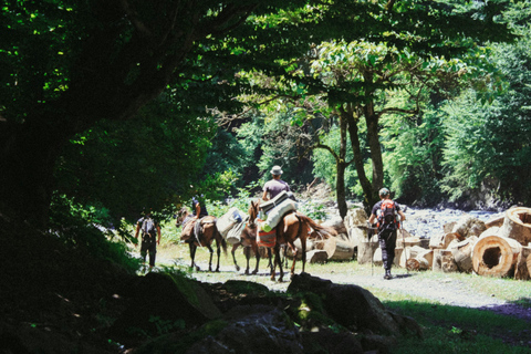 Girona: Horseback Ride with Picnic and Waterfall Stops