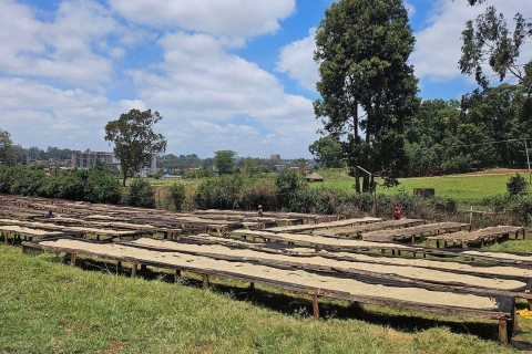 Nairobi : Visite d'une usine de café et d'une ferme avec prise en charge gratuite