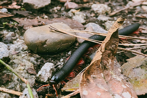 Transport from Cusco to Hidroeléctrica with Lunch Included One-Way Transfer to Hydroelectric with buffet lunch incluyed