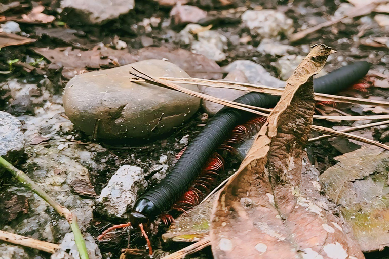 Transport from Cusco to Hidroeléctrica with Lunch Included One-Way Transfer to Hydroelectric with buffet lunch incluyed