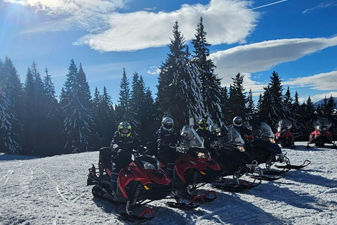 ATV or Snowmobile Mountain Tour from Bucharest