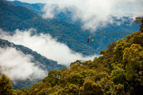 Kigali: 2-Day Nyungwe Canopy Walk, Zipline & Waterfall Tour