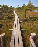 Kemeri National Park Guided Tour - Housity
