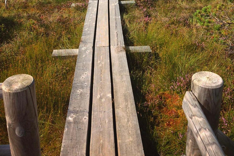 Führung durch den Kemeri-Nationalpark