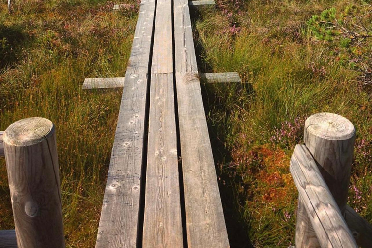 Paysages lettons : Visite guidée de Kemeri et Jurmala