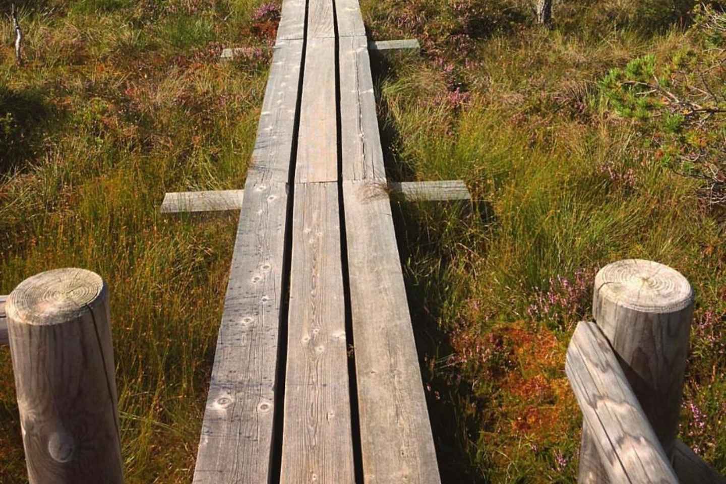 凯梅里国家公园导览游