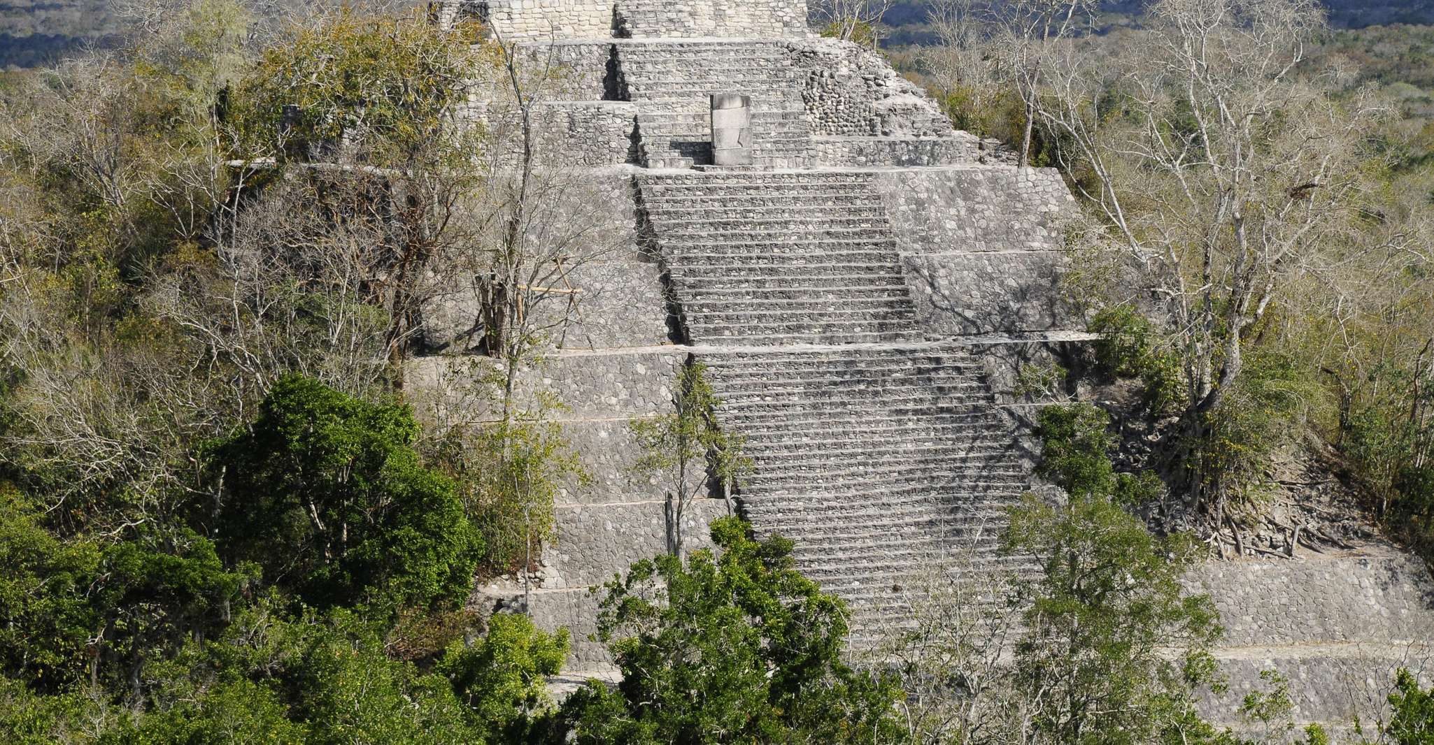 Calakmul hiking - Housity