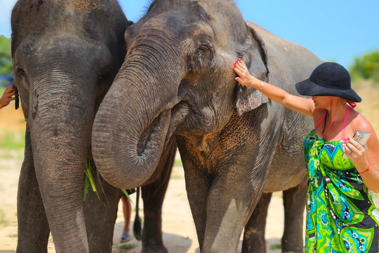 Siem Reap: Elephant Sanctuary Cambodia, Pickup and Drop Off