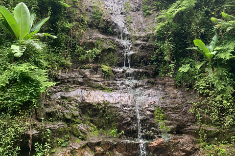 Mont Meru Arusha : randonnée aux chutes d&#039;eau de Napuru par Kingstone Asilia