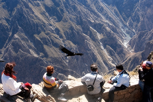 Arequipa: Colca Canyon 1 Full Day Tour with Breakfast