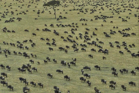 Serengeti: 3-Day Migration Safari with Hot Air Balloon Ride