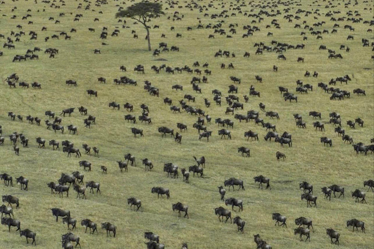 Serengeti: 3-Day Migration Safari with Hot Air Balloon Ride