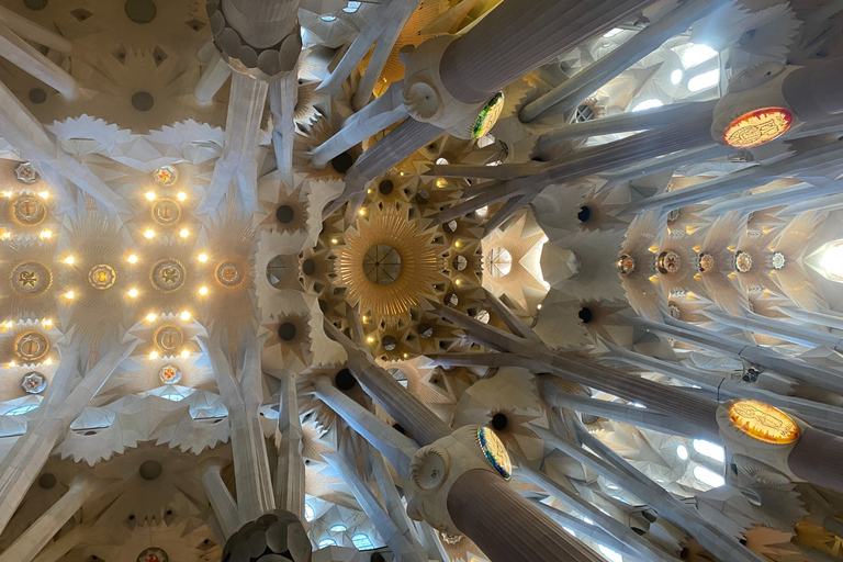 Barcelona: Sagrada Familia Guided Tour with Express Entry Tour with Express Entry