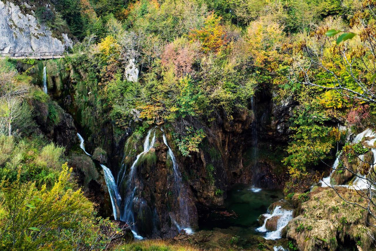 Nikko: Private Day Trip Nikko Private Day Trip with Hotel pickup/drop off