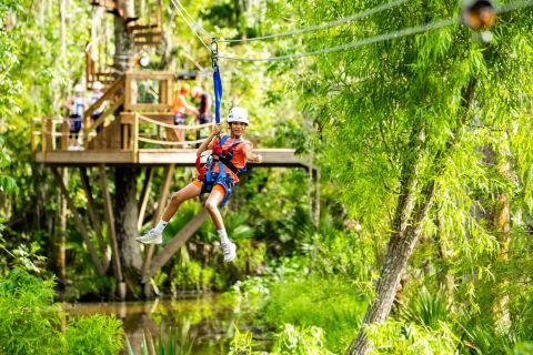 New Orleans: Swamp Zipline Tour with Transfer Option