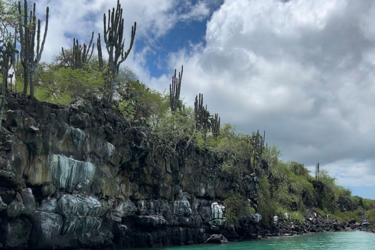 Santa Cruz: Kayaking and Snorkeling Adventure in Academia Bay