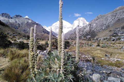 From Huaraz: Laguna 69 Trek with National Park Entry