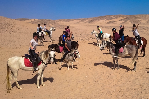 Hurghada: Aventura a cavalo no deserto e no mar da ArábiaPasseio a cavalo de 2 horas saindo de El Gouna, Soma Bay, Safaga