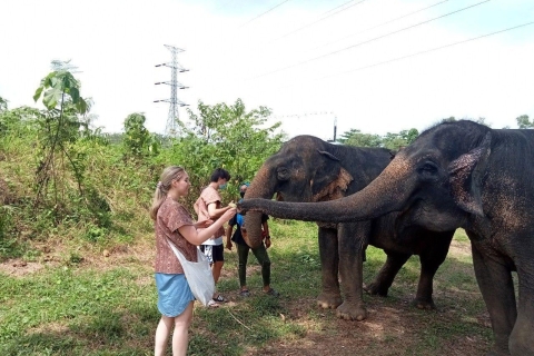 Phuket : Guide écologique : promenade guidée dans un sanctuaire d'éléphants éthiquePhuket : Visite guidée de la promenade guidée écologique avec lieu de rendez-vous