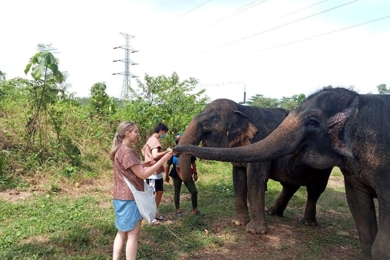 Phuket: Eco gids wandeling met Ethical Elephant SanctuaryPhuket: Eco Wandeltour met gids met trefpunt