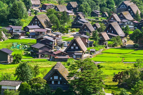 Tokyo: 7-Day Japan Highlights Private Guided Tour