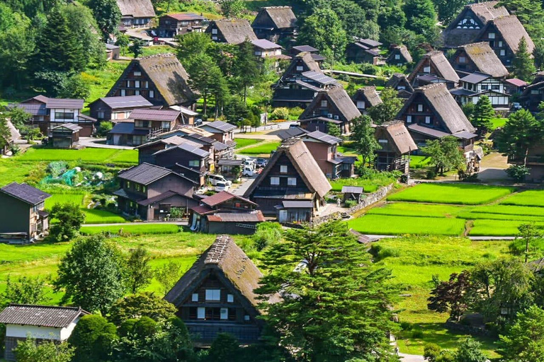 Tokyo: 7-Day Japan Highlights Private Guided Tour