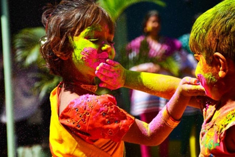 Same-Day Adventure: Delhi Sightseeing and Holi Celebrations.