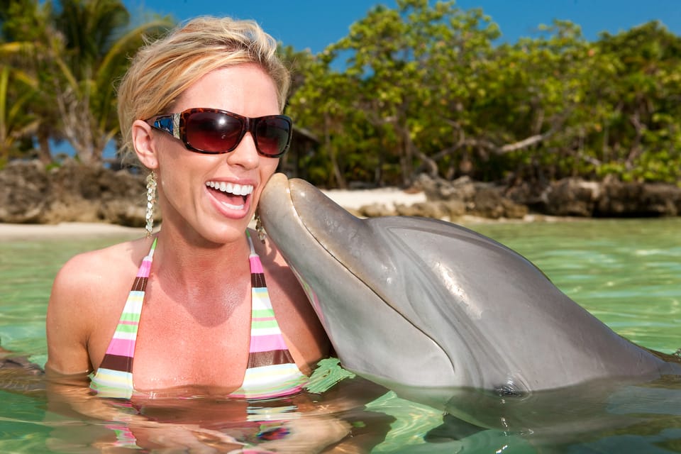 $95 for a Shallow-Water Dolphin Encounter at Dolphin Cove ($155 Value)