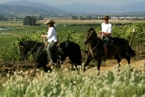 Ensenada: Horseback Riding at the Vineyards