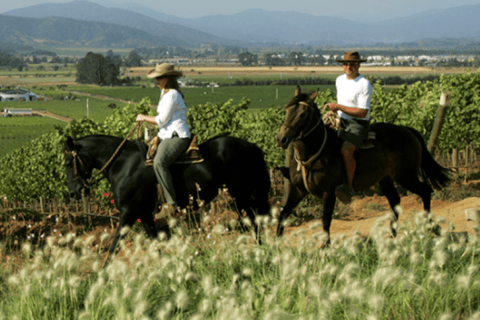 Ensenada: Passeggiate a cavallo nei vigneti