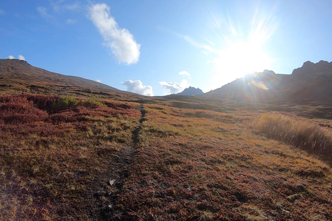 From Anchorage: Chugach State Park Guided Alpine Trek