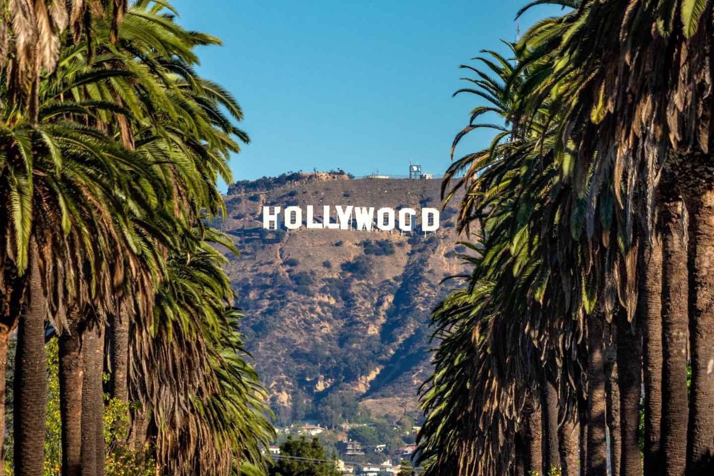 Los Angeles: Hollywood and Beverly Hills Private Tour - Hollywood, and Beverly Hills Private Tour From Los Angeles