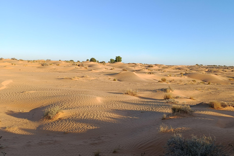 Djerba: Tataouine & Chenini 4x4 Desert Private Tour & Lunch