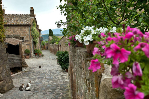Private Day Trip from Rome: Orvieto & Civita di Bagnoregio