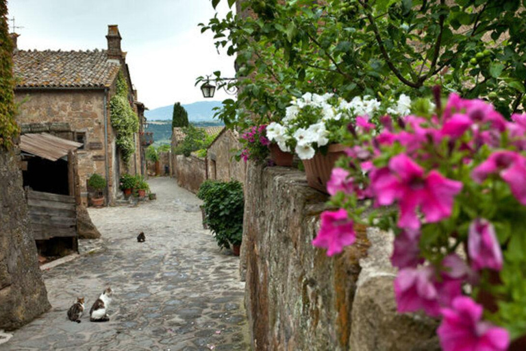 Private Day Trip from Rome: Orvieto & Civita di Bagnoregio