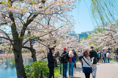 Visite privée de Tokyo : Les joyaux cachés avec un habitantVisite privée de 6 heures