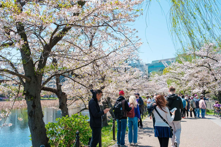 Tour privado de Tokio: Joyas ocultas con un lugareñoTour privado de 4 horas