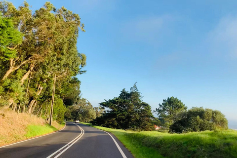 lisbon: algarve, benagil cave, portimao, Lagos private tour.