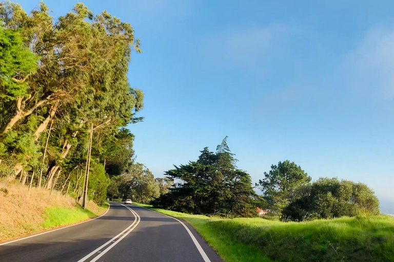 lisbon: algarve, benagil cave, portimao, Lagos private tour.