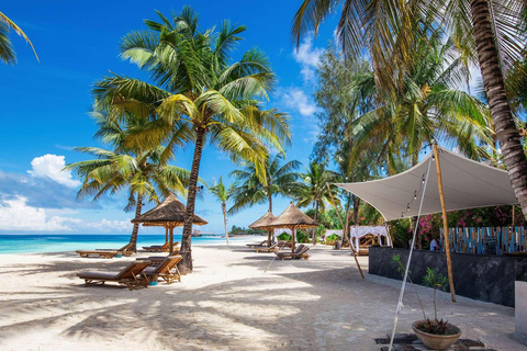 Tanzania: 10-Day Safari and Zanzibar Beach Experience