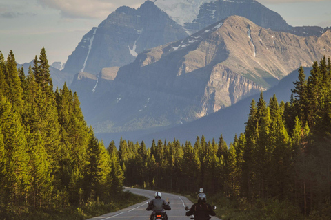 Pole lodowe: lodowiec Crowfoot, jezioro Bow-Peyto i Marble Canyon