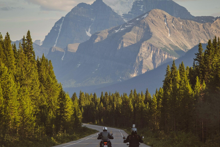 Ijsveld :Crowfoot gletsjer,Bow-Peyto meer &amp;Marble Canyon