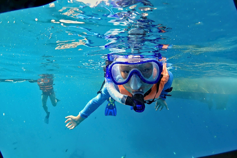 Phuket: Racha Yai Scuba Diving & Snorkeling Experience Fun Dive – 2 Dives (Certified Diver, No Equipment)