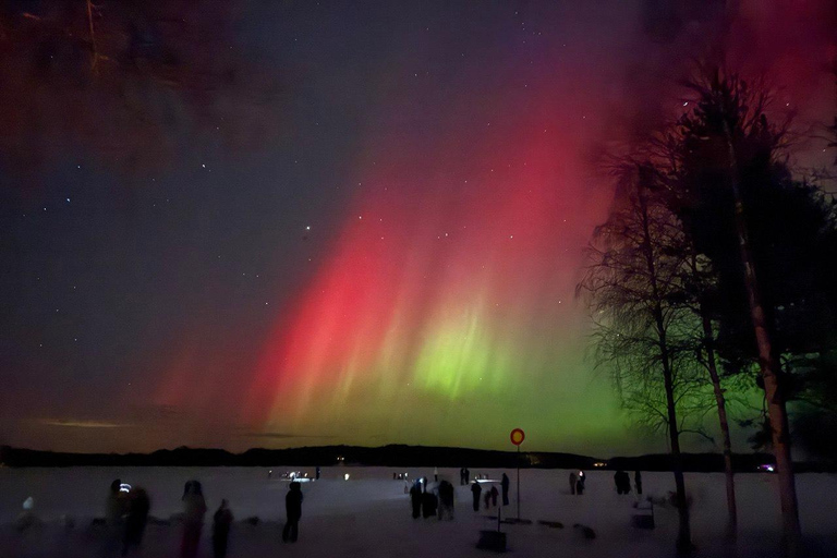 Rovaniemi: Northern Lights Hunt with Campfire & Snacks
