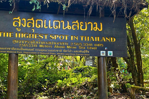 Chiang Mai: Parco nazionale di Doi Inthanon e trekking di Pha Dok Siew