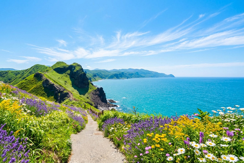 Hokkaido: Otaru's classic coastline one-day roam 8:10 am meet at JR Sapporo Station North exit